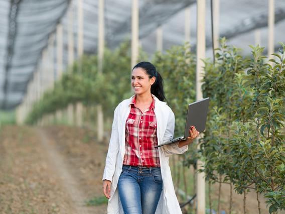 Grad student among planted trees