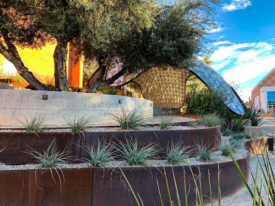 Landscaping and gridshell